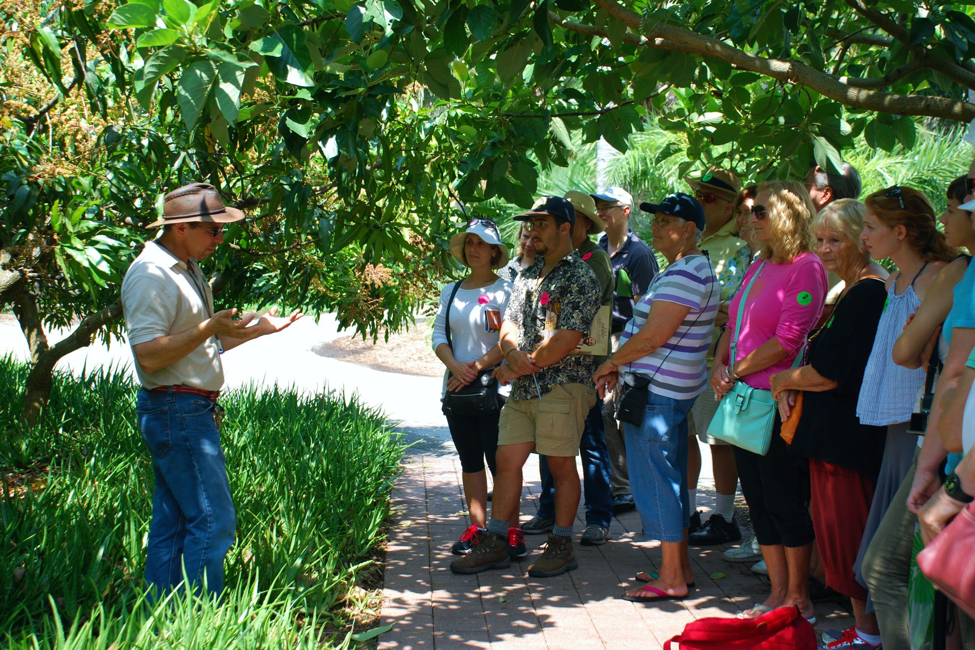 https://jbnl.pe/wp-content/uploads/2021/07/actividades_horticulturas.jpg