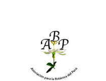 https://jbnl.pe/wp-content/uploads/2021/07/logo_asociacion_para_la_botanica_del_peru_v1.png